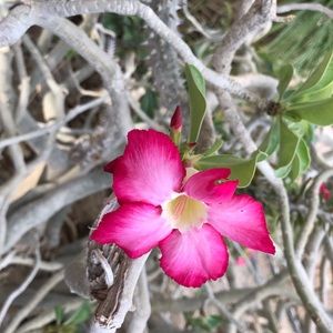 Meet your Posher, Mari jo